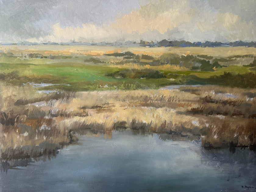 Brian Byrne - 'On the Norfolk Breagh'