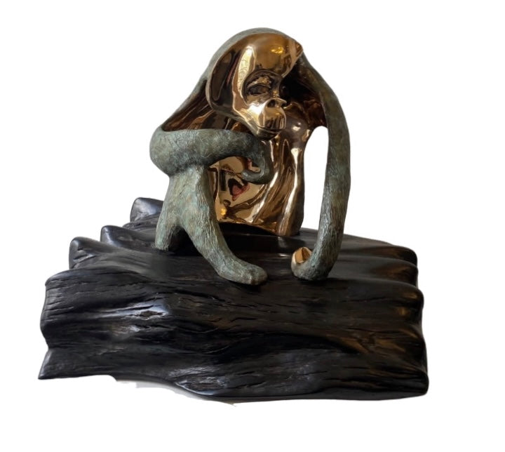 Ani Mollereau - 'Vacant or Pensive Mood (Orangutan)'