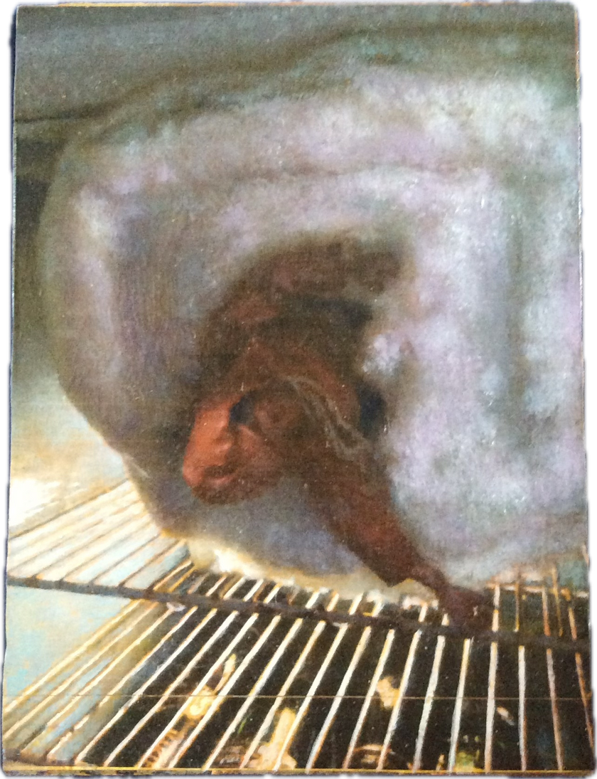 Suzanne Osborne - 'Action Man negotiating the ice-box'