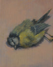Suzanne Osborne - 'Tiny dead bird'
