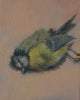 Suzanne Osborne - 'Tiny dead bird'